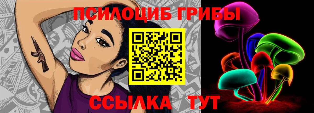 Галлюциногенные грибы Cubensis  Вход с VPN  Ставрополь 